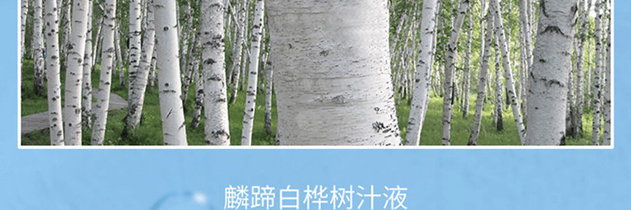 韩国ROUND LAB柔恩莱 独岛 白桦树玻尿酸补水保湿面膜 温和补水 舒缓镇静 敏感肌可用 10片入