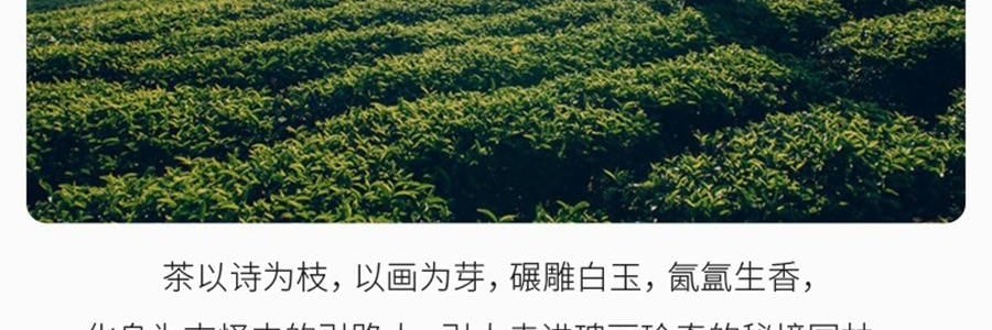 RE CLASSIFIED RE调香室 东方茶系列无火香薰 香薰挥发液室内留香无火香氛 小径新泽 150ml