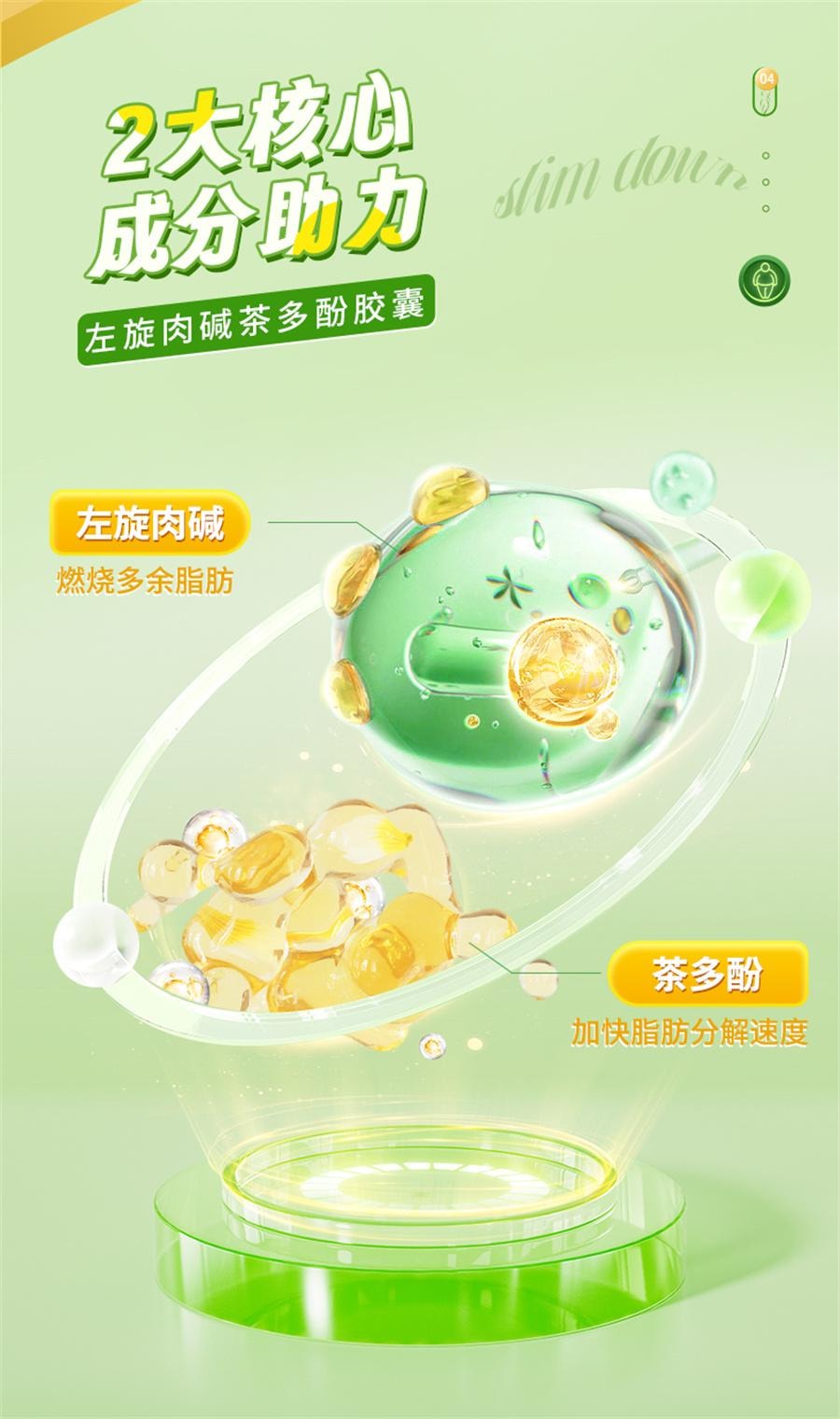 【中國直郵】 九芝堂 長興牌左旋肉鹼茶多酚膠囊 減肥排油燃脂瘦身肚子大肚腩減小腹神器左旋肉鹼40粒/瓶