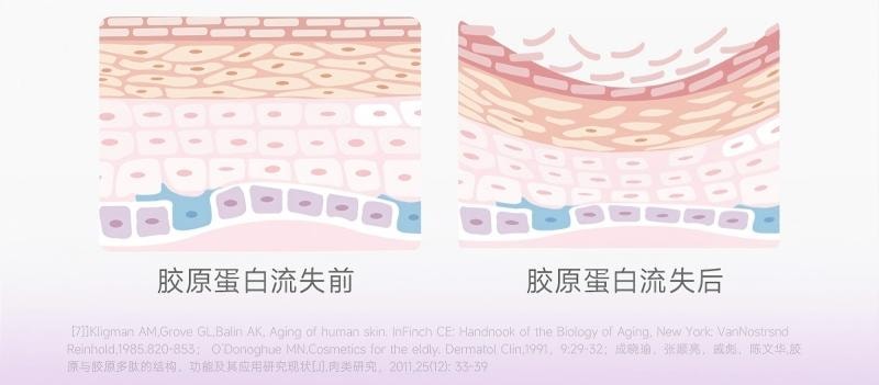 Collagen Peptide Vitamin C Drink 2.0 Collagen VC Double Supplement For Staying Up Late Party Essential 30ml * 10 Bottles