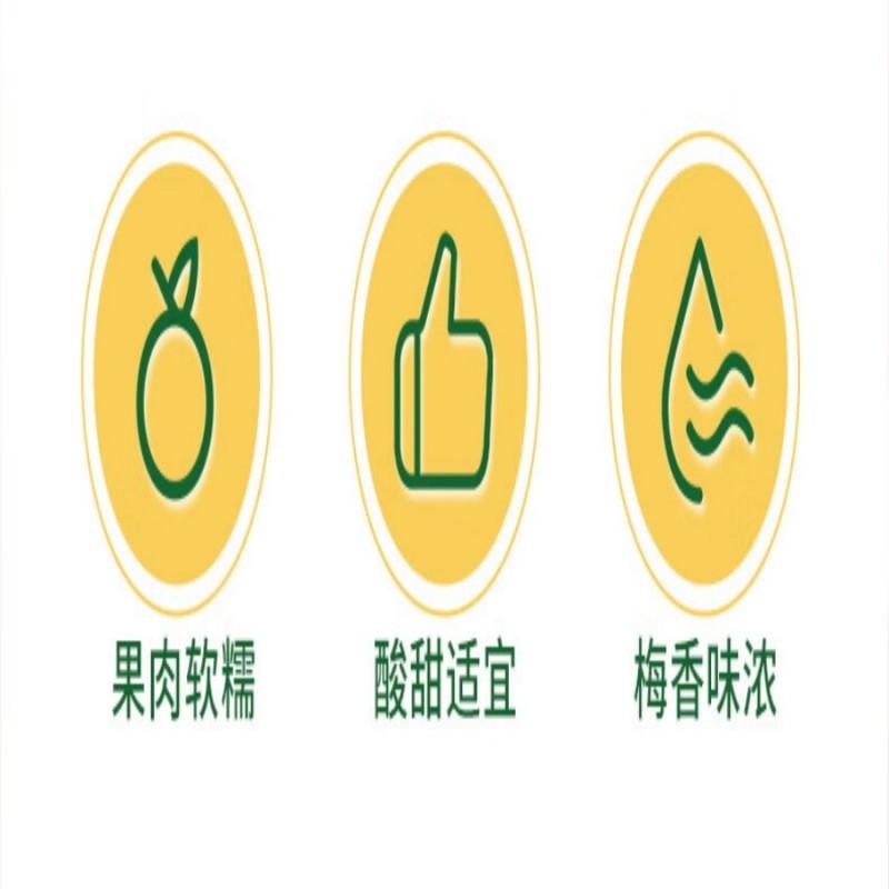 【中国直邮】 华味亨吃不厌话梅358g/袋 苏式话梅 蜜饯果干梅子干酸甜休闲零食