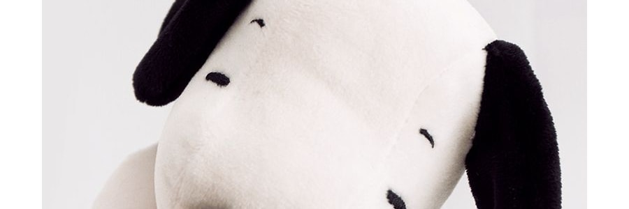 韓國LOTTE樂天 PEANUTS SNOOPY史努比筆袋 款式隨機發送