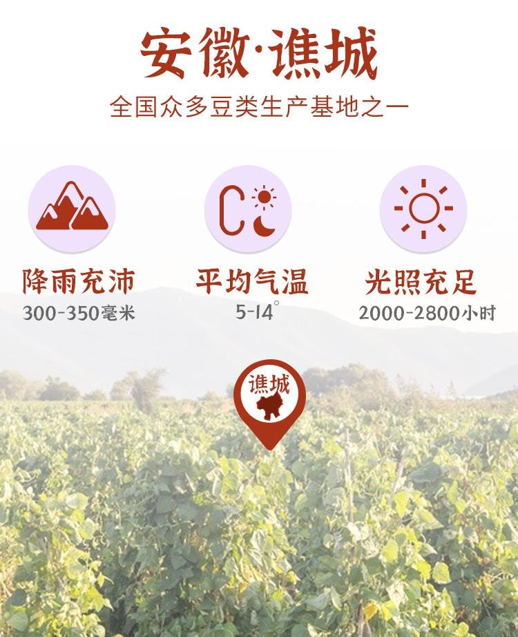 常椿 供货采芝林| 茯苓 300g 四神汤 不熏硫 供货三甲医院永旺等高端超市 单克便宜 祛湿去湿气健脾养胃安心神