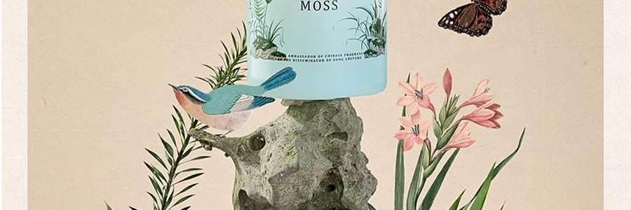 宋朝 画境系列香氛 无火香薰 梨与苍兰 200ml