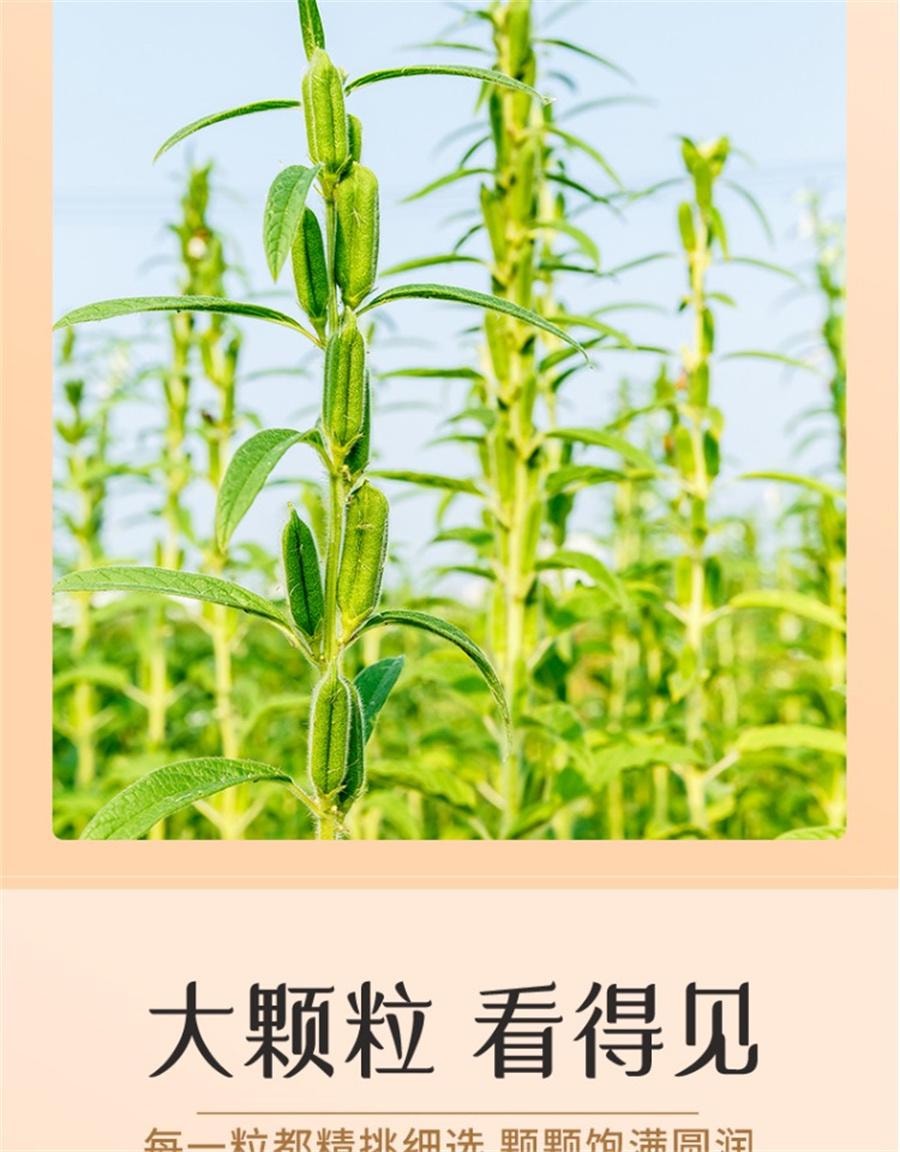【中国直邮】 燕之坊 熟黑芝麻五谷杂粮免洗即食干吃芝麻粒可磨粉炒家用  450g/罐