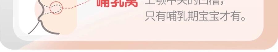 日本 PIGEON贝亲  新生儿珍珠奶瓶礼盒 (硅橡胶护层 彩绘玻璃奶瓶160ml & 240ml; S & L号奶嘴)