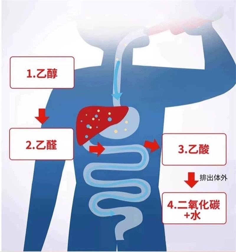 【中国直邮】 正大 【醒酒神器】醒酒片12片/盒 醒酒药酒前酒后防醉糖丸熬夜应酬宿醉解酒