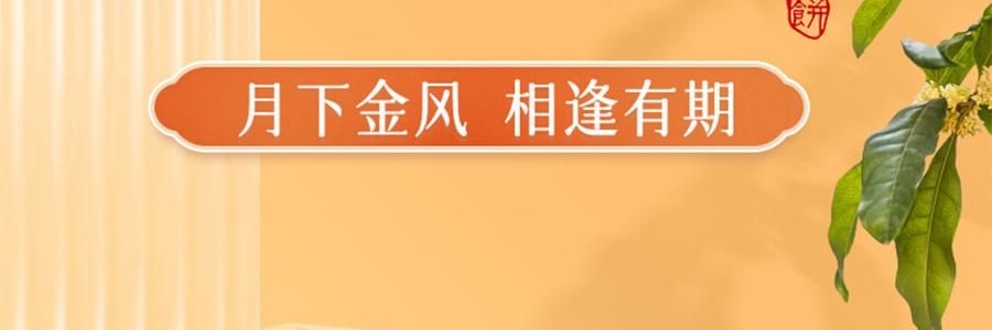 【预售】【亚米独家】鲍师傅 月满人间 中式糕点月饼礼盒 9枚入 450g【芝士月饼*4+金沙蛋黄月饼*5】【新鲜空运】【芝香四溢 奶香浓郁】