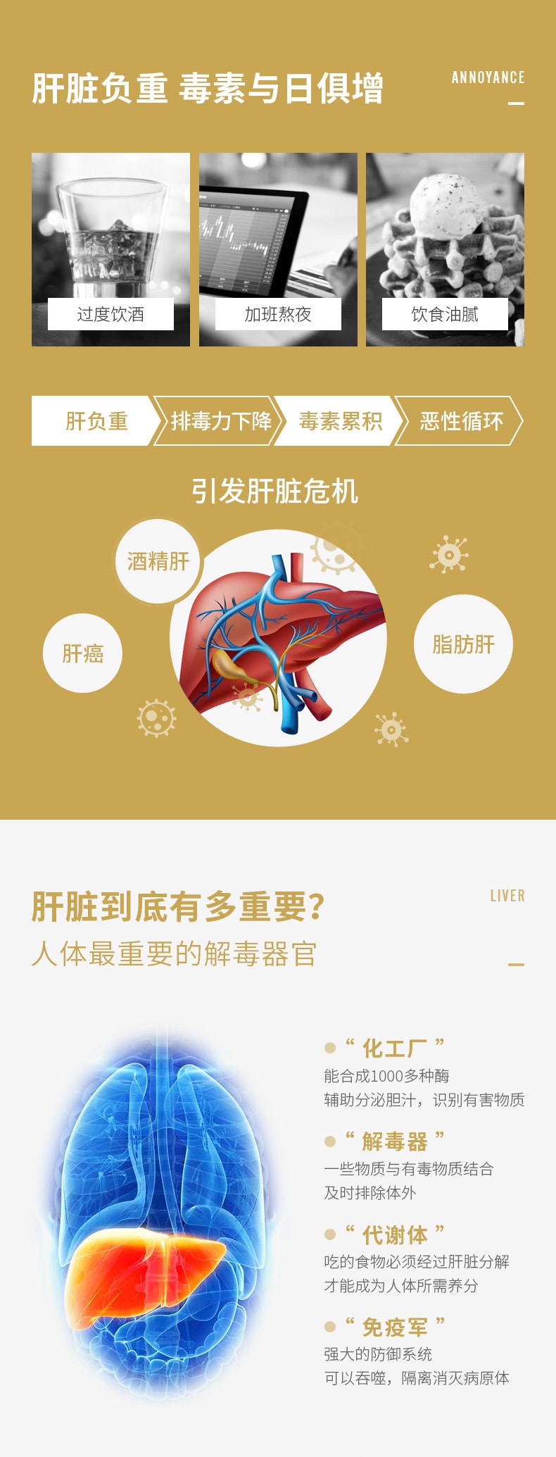 守护肝脏的黄金盾 | PILLBOX姜黄解酒片金装加强版 | 5粒护肝神器
