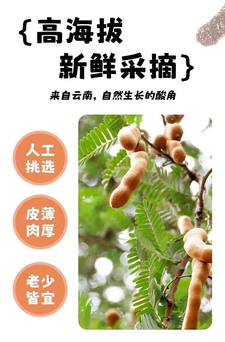 Yunnan Specialty Wild Tamarind Sugarcane Sweet and Sour Tamarind Pregnant Women Snack 16g*10 Packs