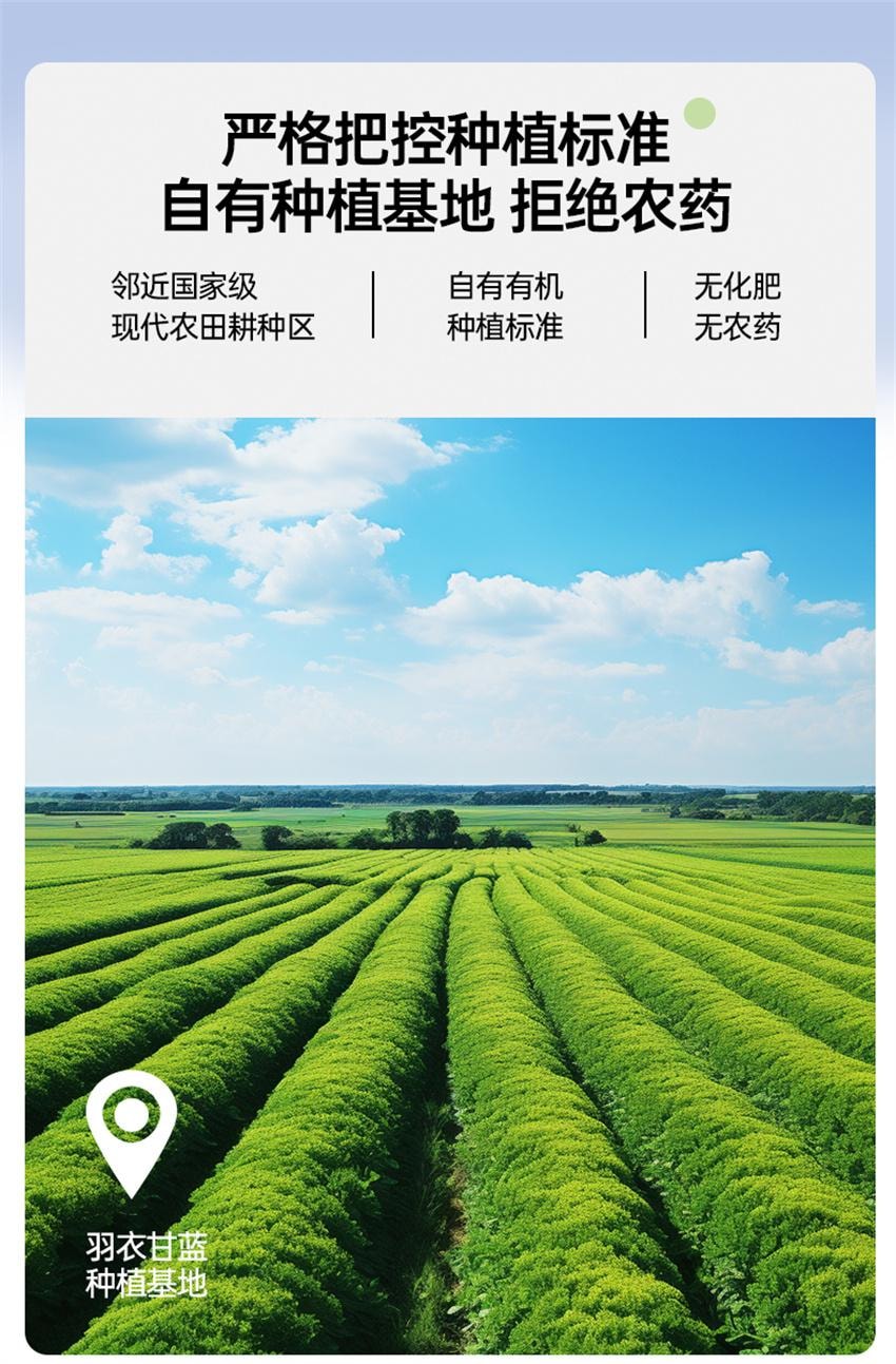 【中國直郵】 onlytree 奇亞籽羽衣甘藍粉 青汁凍乾膳食纖維蔬菜代餐粉 30g/盒