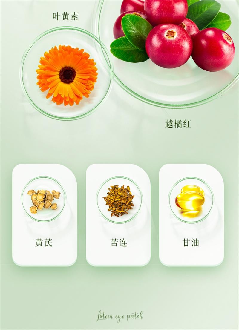 【中国直邮】 北京同仁堂 叶黄素护眼贴缓解眼疲劳冰敷润目润眼冷敷眼干涩明目贴儿童 24贴/盒