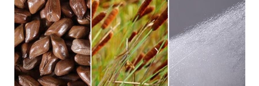 FUANNA富安娜 决明子香蒲枕头 天然草本枕头助眠 护颈枕 70*45cm 【对枕2只装】