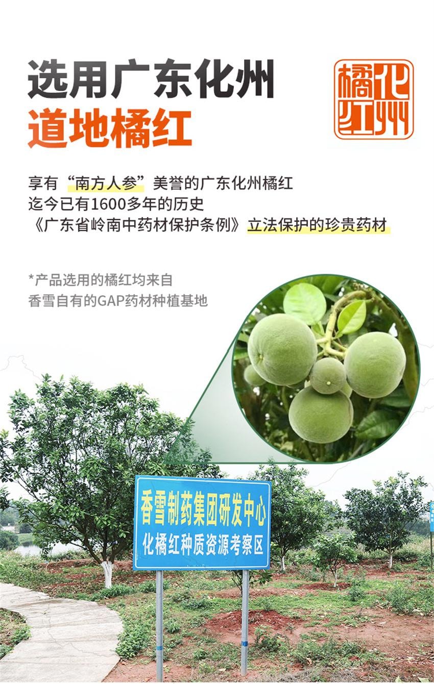 【中国直邮】 香雪制药 橘红痰咳液 止咳化痰咳嗽药口服液 用于支气管炎咽喉炎咳痰感冒 18支 x 1盒