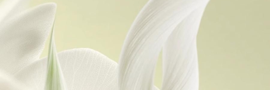 BC BABYCARE 山茶新生柔拋棄式內褲 日拋月子產婦醫用無菌醫護級免洗 M-4條/盒