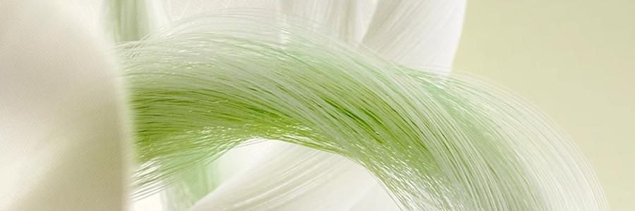 BC BABYCARE 山茶新生柔拋棄式內褲 日拋月子產婦醫用無菌醫護級免洗 M-4條/盒