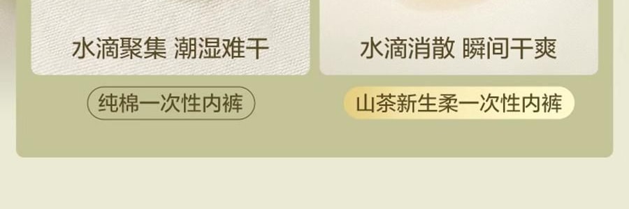 BC BABYCARE 山茶新生柔拋棄式內褲 日拋月子產婦醫用無菌醫護級免洗 M-4條/盒