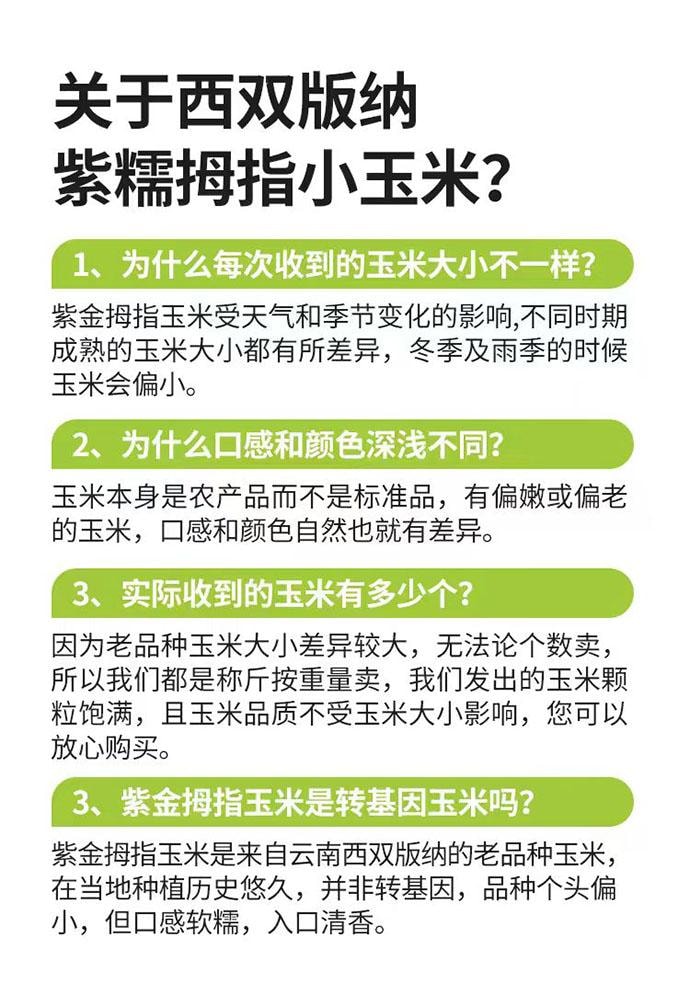 【中國直郵】 傣小瓜 雲南西雙版納 紫薯拇指玉米 0添加 500g*1袋