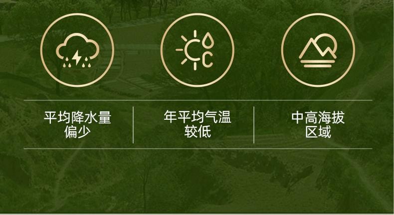  北京同仁堂 【單克便宜】 黃耆200g 超大包裝 精選甘肅岷縣黃耆大根切片 手工挑選豆香味十足 補氣養血 益氣固表 增強免疫力 黃耆片 北芪可搭配當歸黃耆養黨芪氣