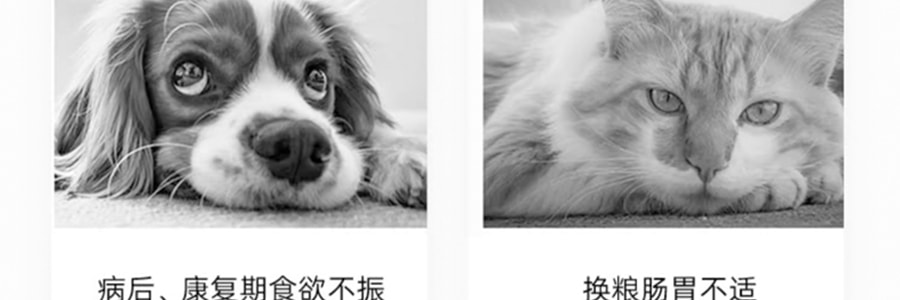 日本JPHC 犬用益生菌 宠物肠道活性益生菌 狗狗营养补剂 狗狗呕吐软便调理 全犬种通用 10条x3g/盒 30g