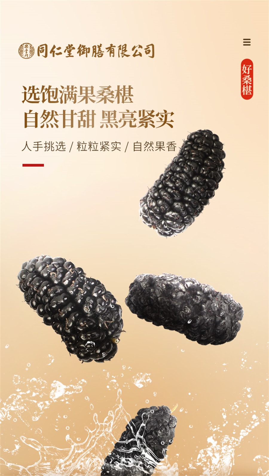 【中國直郵】同仁堂 禦膳黑桑椹乾果泡水桑葚乾中草藥材用黑桑葚子桑聖乾桑椮幹 桑葚250g