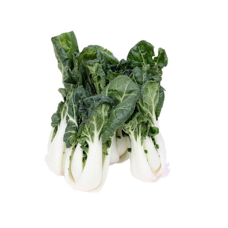 四季蔬果 奶油白菜苗 (1磅)