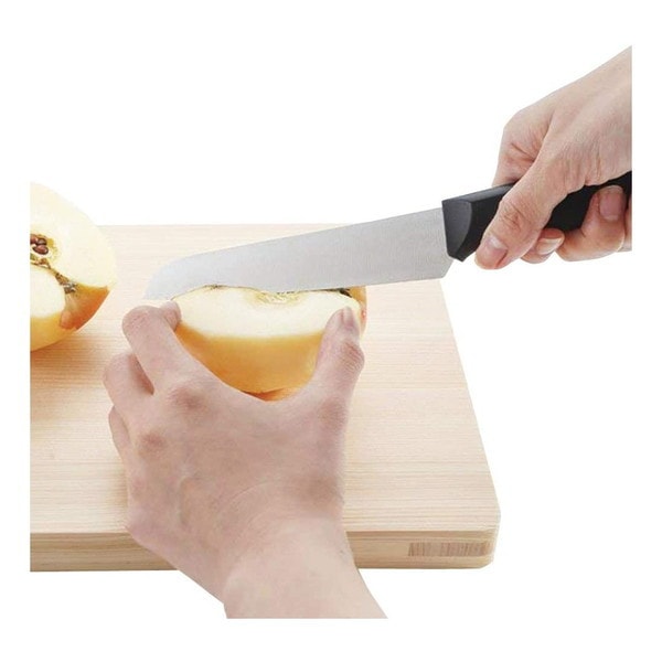【日本直郵】KAI貝印 關孫六 精緻耐用 削皮水果刀 DH3342 1把 付刀鞘