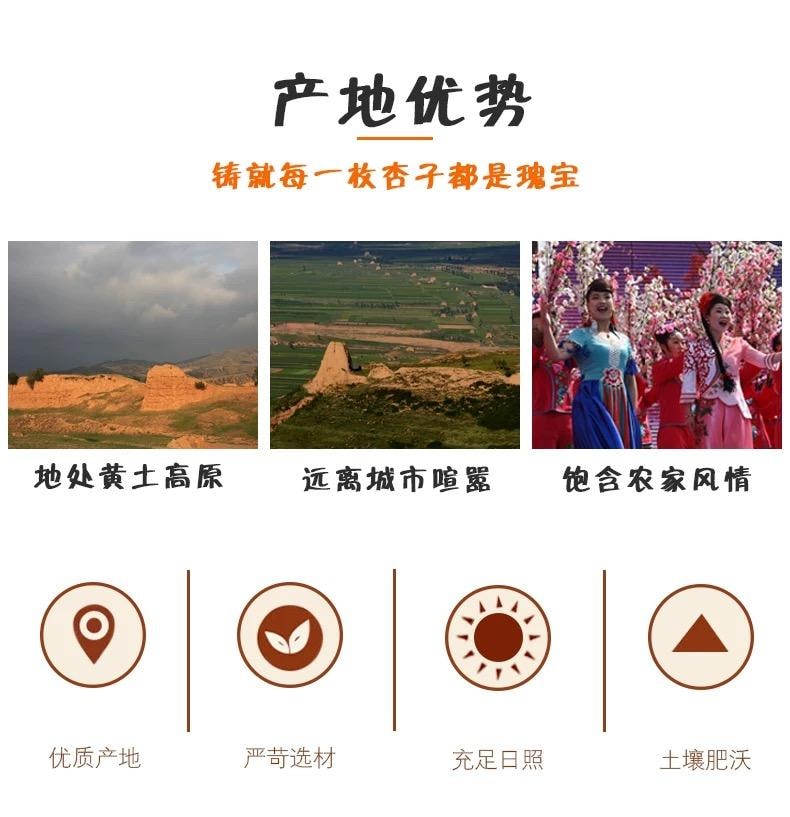 【中国直邮】 龙混山 山西特产阳高杏脯 酸甜杏肉果脯零食蜜饯果干 450g*1袋 内含独立小包装 偏酸口味