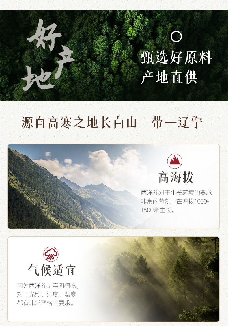 【中国直邮】北京同仁堂西洋参片-80g