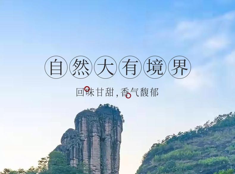  小師姐評茶 岩骨花香大紅袍茶葉 武夷山正岩核心產區竹窠 傳統手工搖青烏龍茶 香氣馥鬱 岩韻悠長 28克 (7gx4)