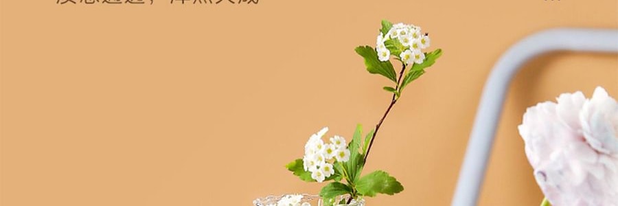 川島屋 ins風玻璃小花瓶 插花擺飾 矮款 7.5*8.8*6cm