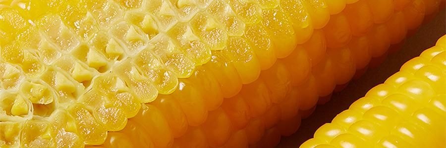 三胖蛋 甜糯玉米 真空锁鲜苞米 1根 228g【加热即食】【低卡粗粮代餐】【内蒙古特产】【亚米独家】