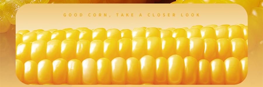 三胖蛋 甜糯玉米 真空锁鲜苞米 1根 228g【加热即食】【低卡粗粮代餐】【内蒙古特产】【亚米独家】