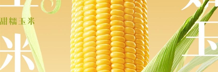 三胖蛋 甜糯玉米 真空锁鲜苞米 1根 228g【加热即食】【低卡粗粮代餐】【内蒙古特产】【亚米独家】