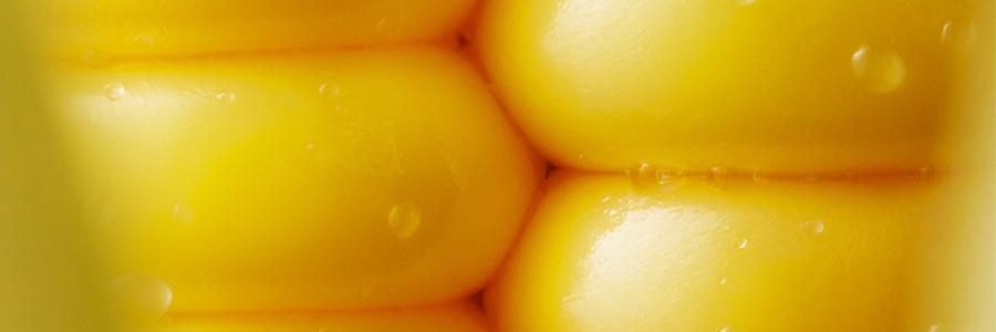 三胖蛋 甜糯玉米 真空锁鲜苞米 1根 228g【加热即食】【低卡粗粮代餐】【内蒙古特产】【亚米独家】