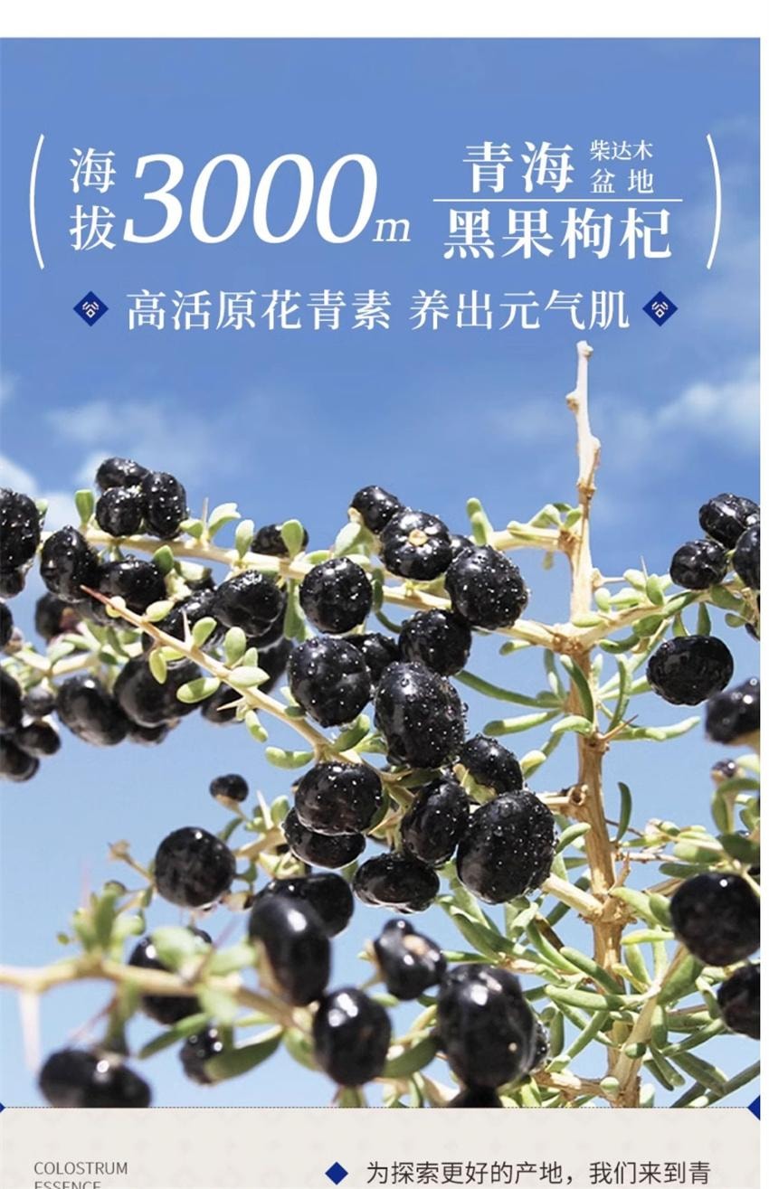 【中国直邮】 谷掌柜 驼奶七宝乌珍粉 黑芝麻糊黑枸杞桑葚黑豆黑米 五黑养黑发早餐代餐 500g/罐