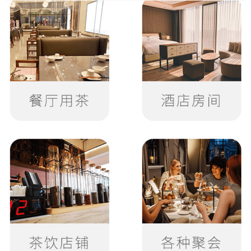  諫韻堂 【美國直郵】茯苓酸棗仁茶250g 養心安神改善睡眠清熱解毒利水消腫