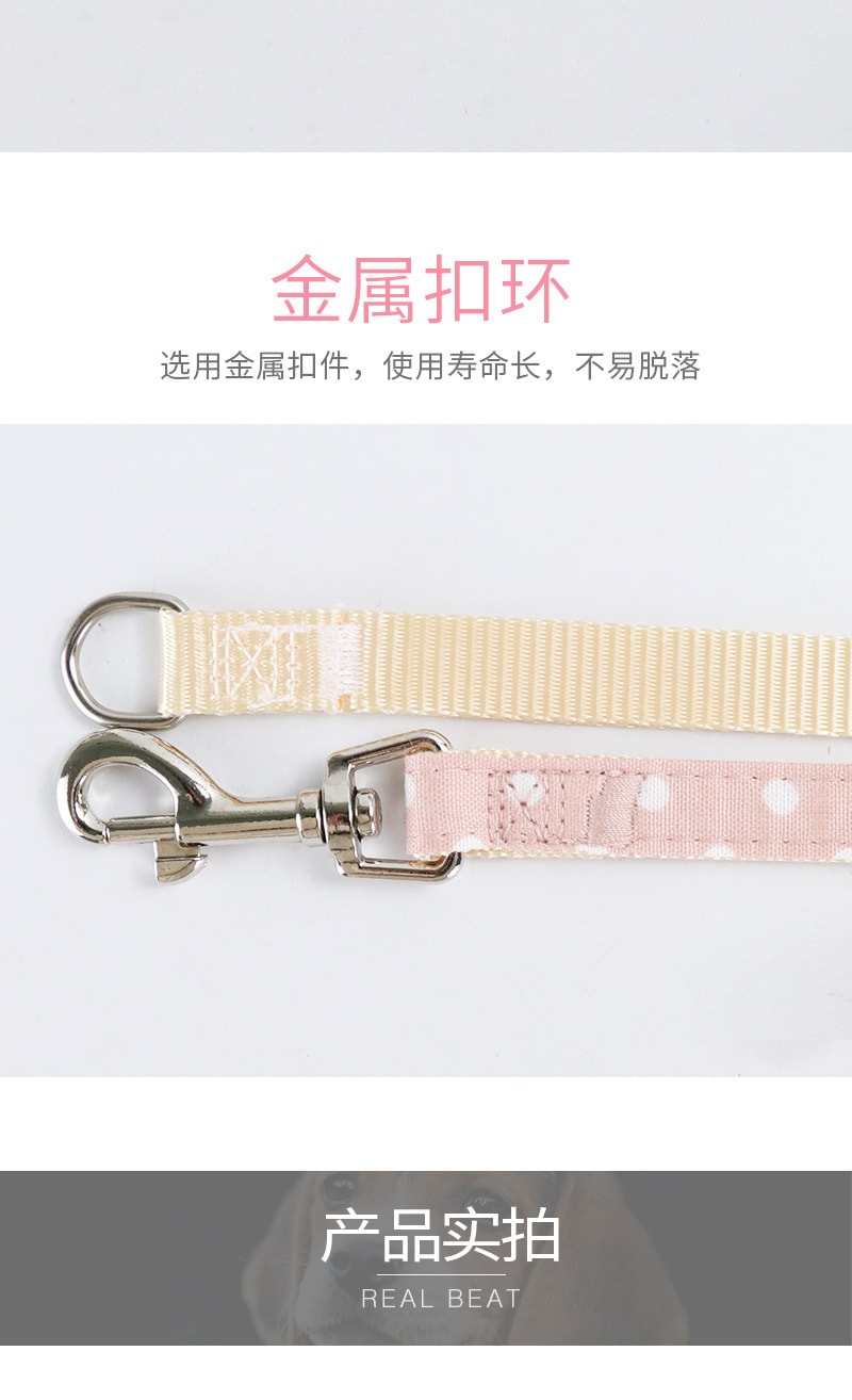 【中国直邮】尾大的喵 宠物牵引绳 灰色点点L码 宠物用品