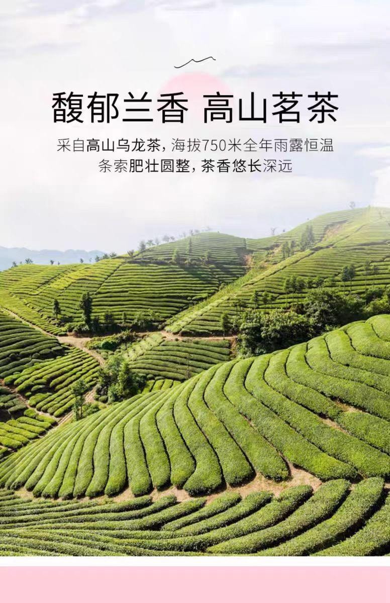 【中國直郵】 茶裡 蜜桃烏龍 一盒15包 45g*1盒
