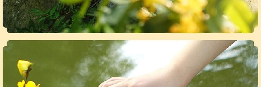 南宋胡记 繁花似锦点心礼盒 荷花酥+龙井茶酥 6味9枚入 225g【浙江杭州特产】