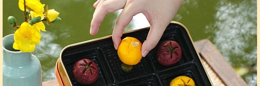 南宋胡记 繁花似锦点心礼盒 荷花酥+龙井茶酥 6味9枚入 225g【浙江杭州特产】