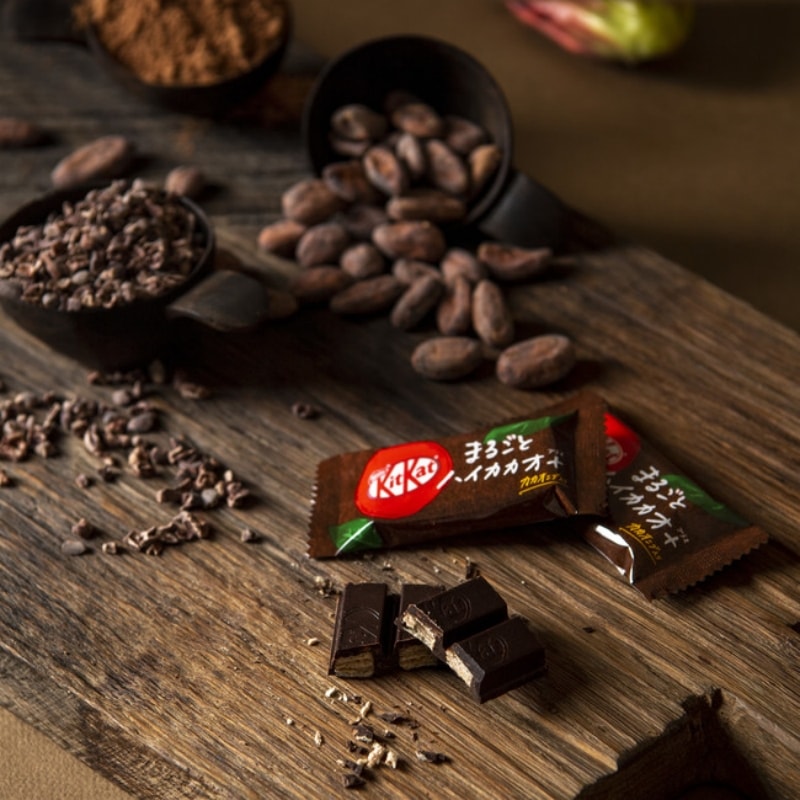 【日本直郵】日本雀巢NESTLE KIT KAT 最新發售 期限限定 72%可可巧克力口味威化 12枚裝