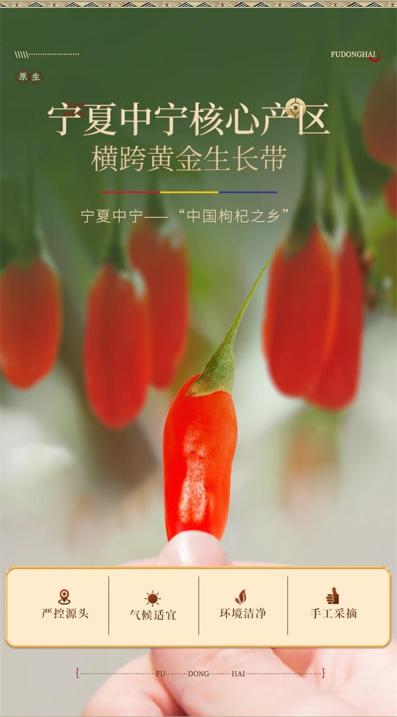 【中國直郵】 福東海 寧夏早紅晚黑枸杞原漿早C晚A杞汁 300ml