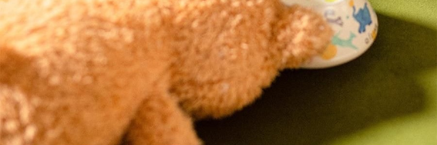 QILI其里 奔跑的动物香氛蜡烛 生日礼物室内持久小众艺术香氛礼品 涩果 160g