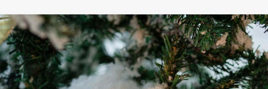 QILI其里 奔跑的动物香氛蜡烛 生日礼物室内持久小众艺术香氛礼品 涩果 160g