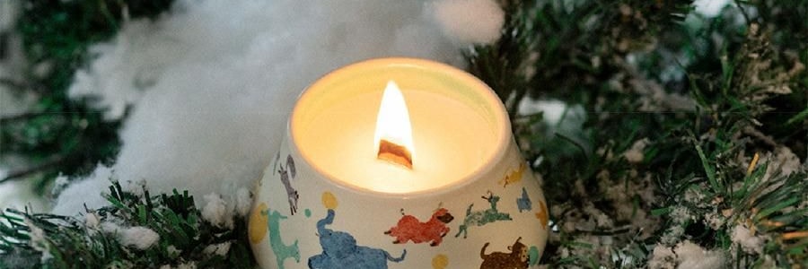 QILI其里 奔跑的动物香氛蜡烛 生日礼物室内持久小众艺术香氛礼品 涩果 160g