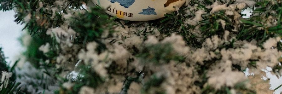 QILI其里 奔跑的动物香氛蜡烛 生日礼物室内持久小众艺术香氛礼品 涩果 160g