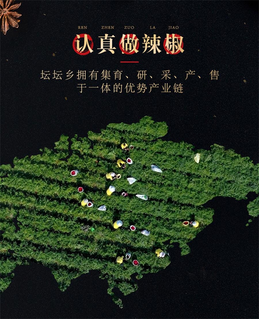 【中國直郵】 祭壇鄉 脆鮮剁青椒 辣醬魚頭剁椒調味下飯菜拌麵醬湖南特產210g/瓶
