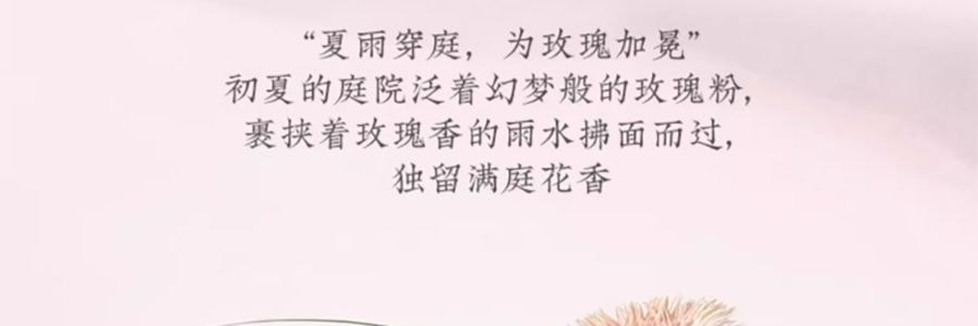 宋朝 四季闲庭系列扩香石摆件 送礼好物 高级香氛 雅韵白茶·馥奇花香调 容器*1 扩香石*1袋 精油*2 干花*1包