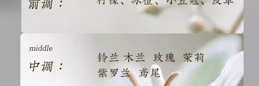 宋朝 四季闲庭系列扩香石摆件 送礼好物 高级香氛 雅韵白茶·馥奇花香调 容器*1 扩香石*1袋 精油*2 干花*1包